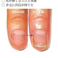 画像291